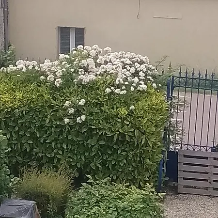 Bb Des 6 Arcs